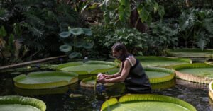 Horticulturist Carlos Magdalena Is Saving Rare Flowers From Extinction