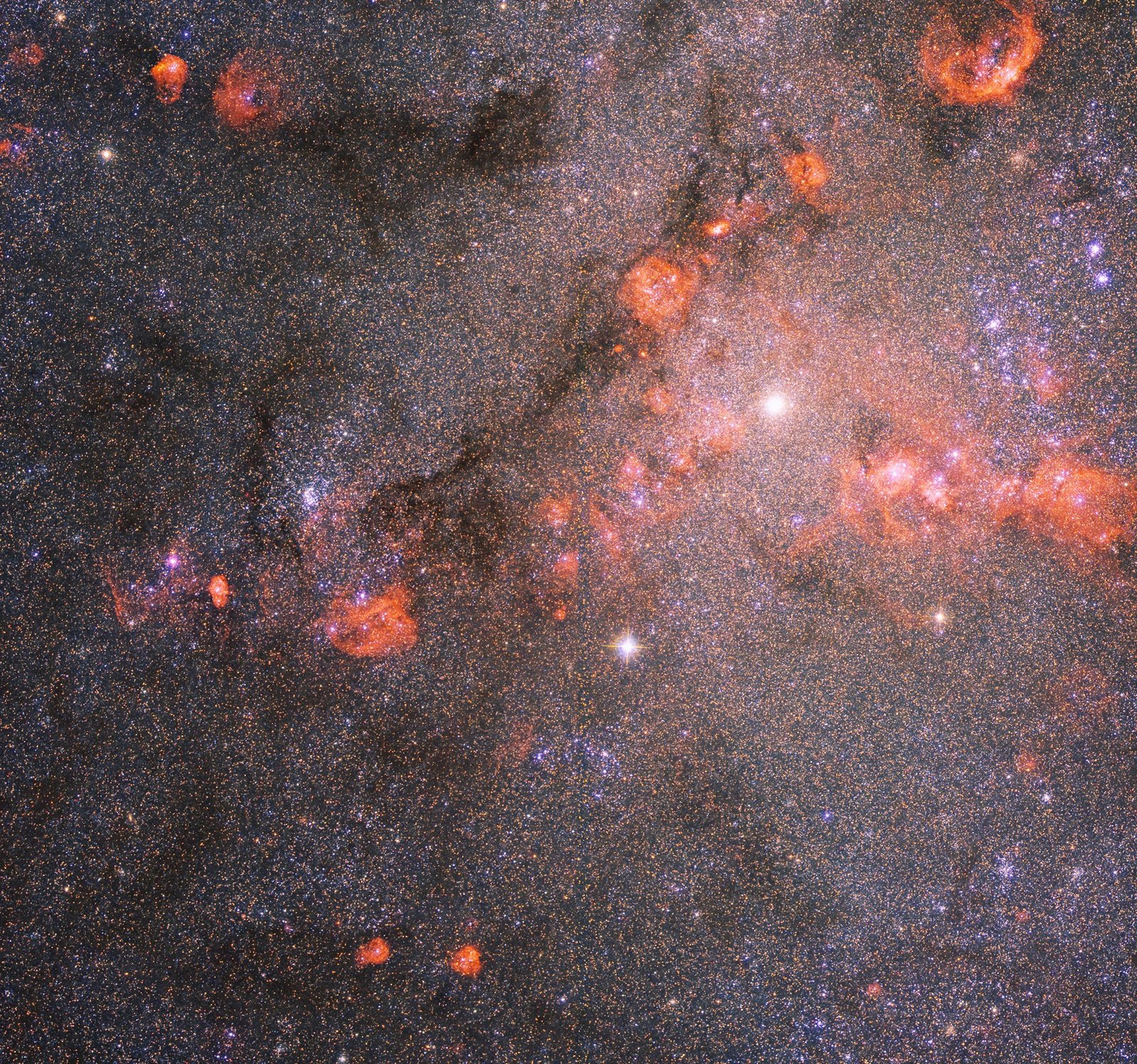 Hubble Peers Deep Into the Star-Forming Heart of the Triangulum Galaxy