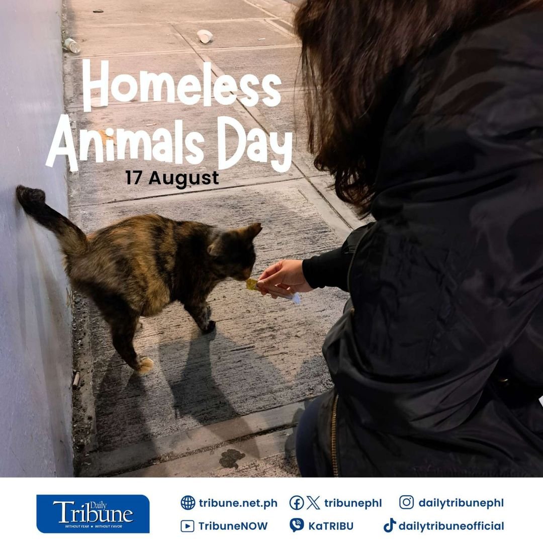 It’s Homeless Animals Day! Let’s give some extra love to our furry friends today.  You can make a difference by donating, sponsoring rescued animals,