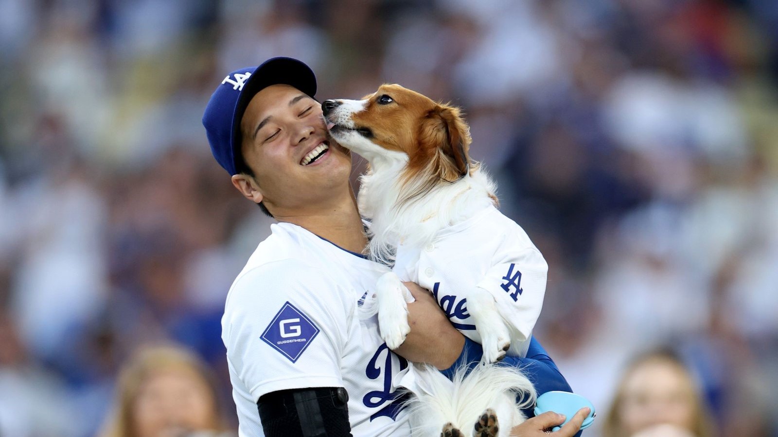 Just A Bunch Of High-Resolution Photos Of Shohei Ohtani And His Dog