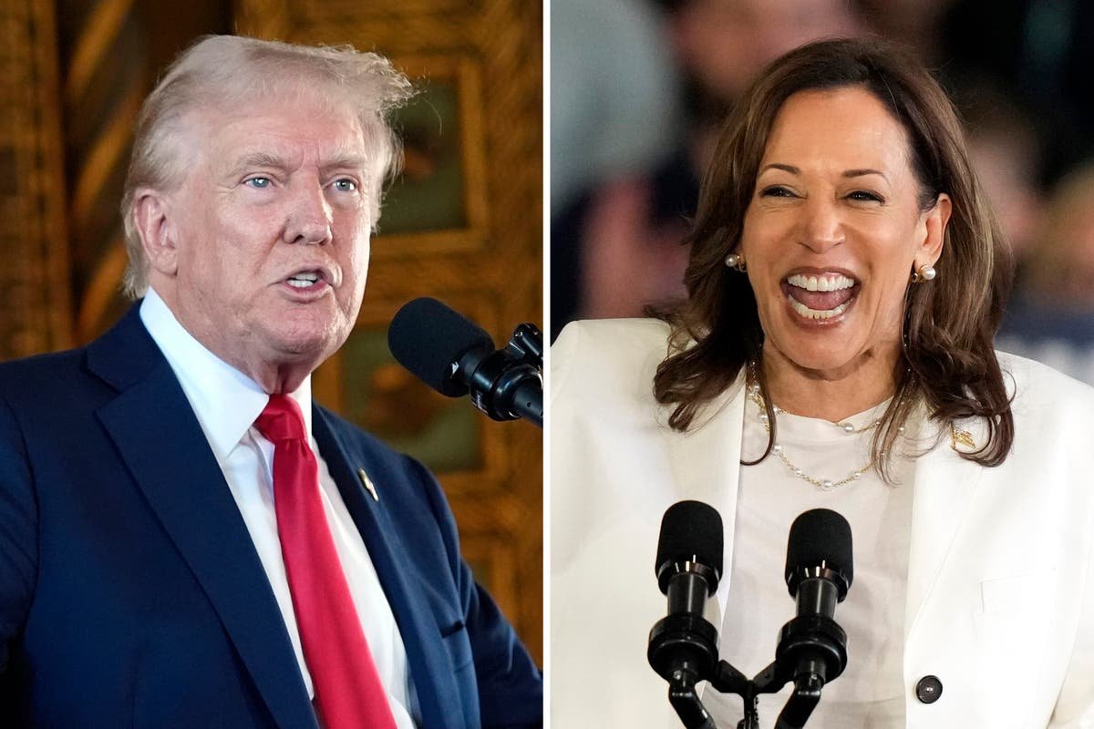 Kamala Harris uses Trump’s own words about DeSantis and his own Truth Social platform to troll Elon Musk interview