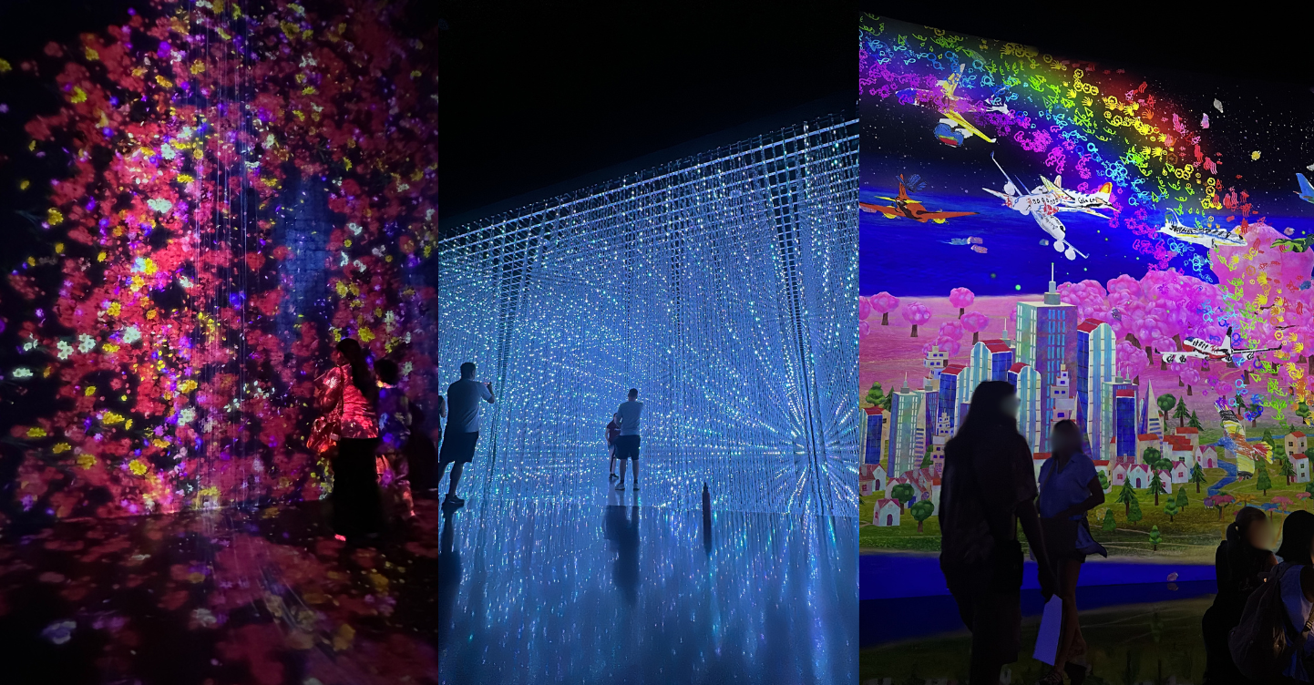 LOOK: Experience The Magic of teamLab in Singapore at This Museum