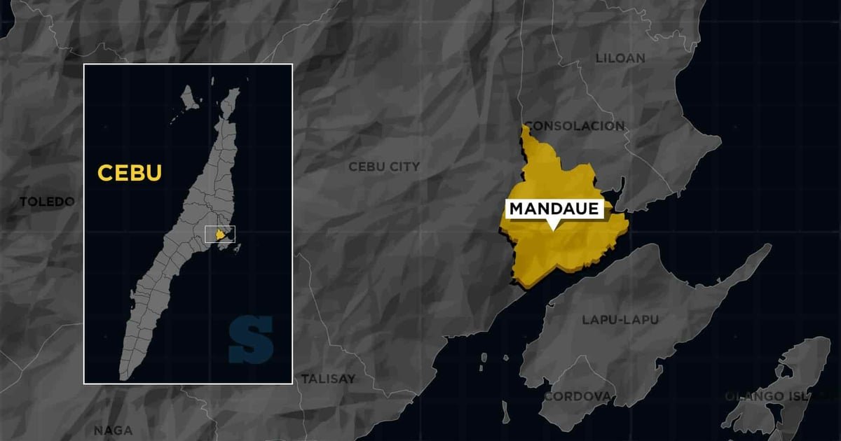 Mandaue, Maayo hospital tie up to offer free medical services