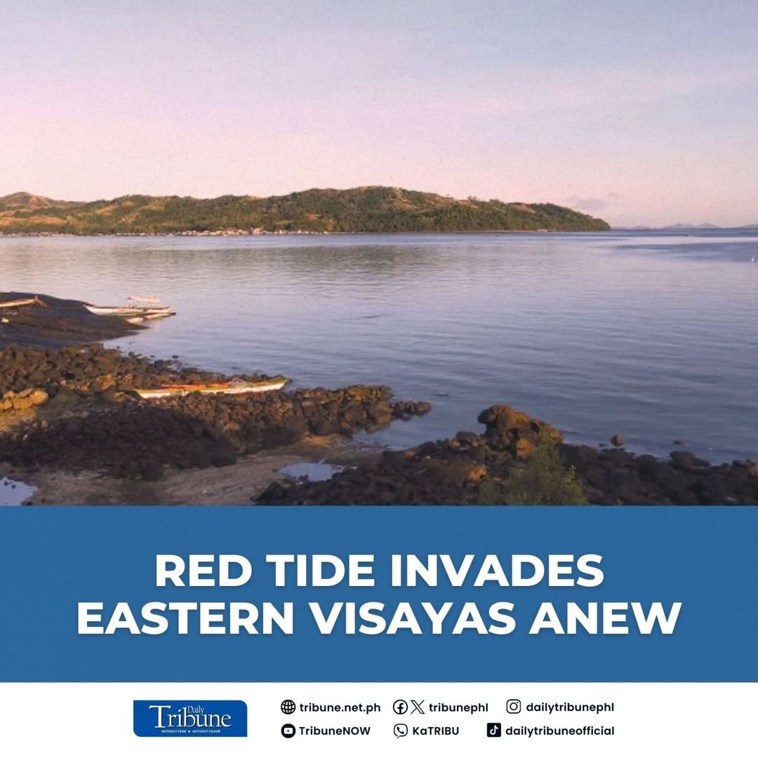 Maqueda Bay, the main source of green mussels in Eastern Visayas, is now red tide-positive, the Bureau of Fisheries and Aquatic Resources (BFAR) said