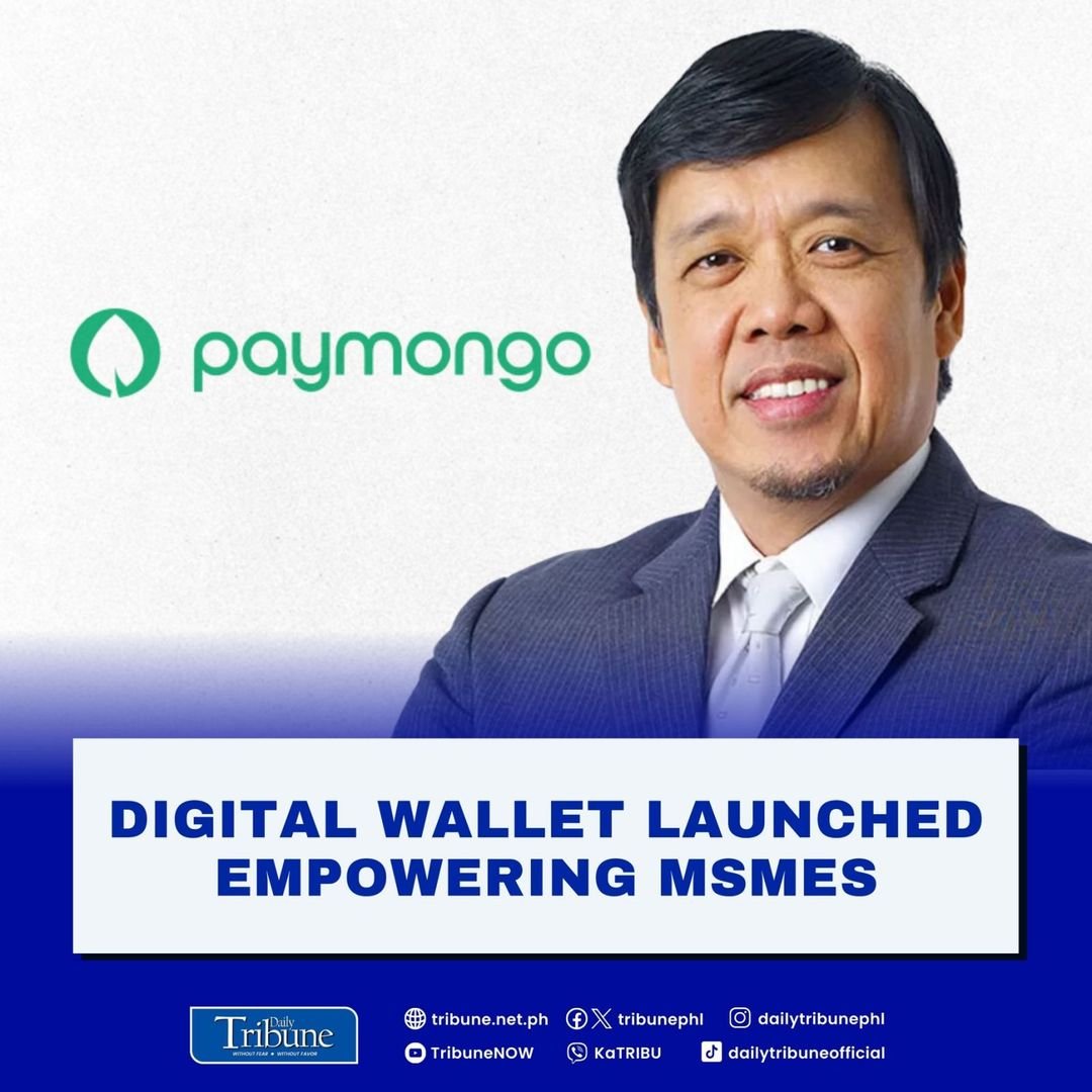 Paymongo seeks to provide micro, small and medium enterprises with bigger options and support through a new electronic wallet.