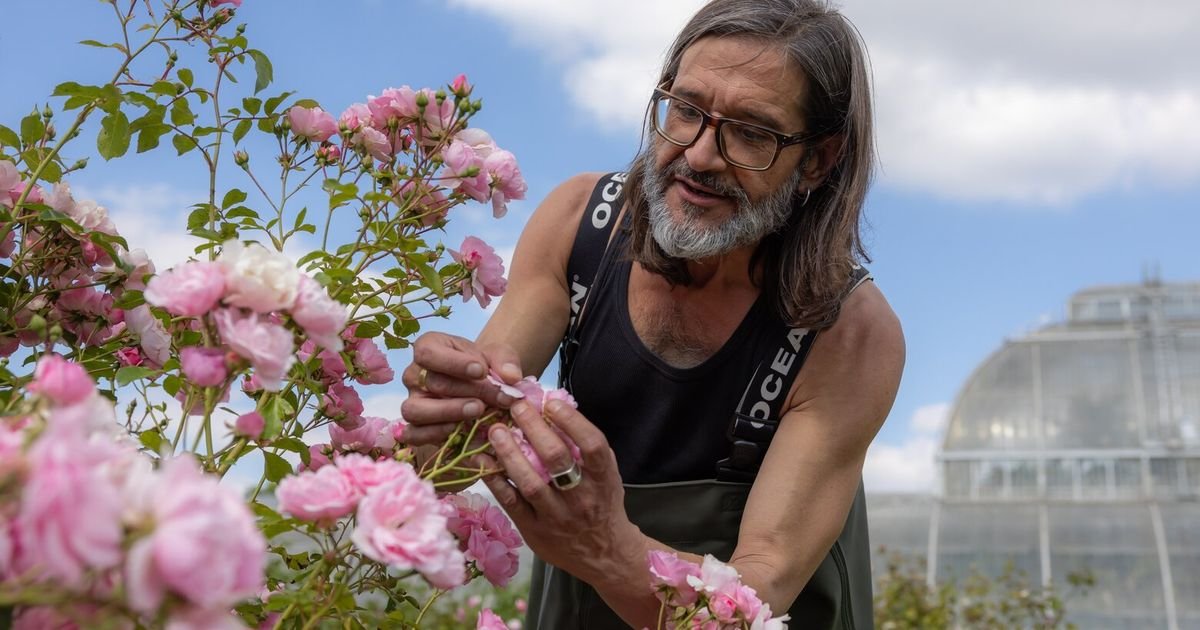 Risking his own extinction to rescue the rarest of flowers