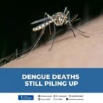 The Department of Health in Eastern Visayas reiterated its call to all hospitals and health facilities in the region to set up a fast lane for dengue