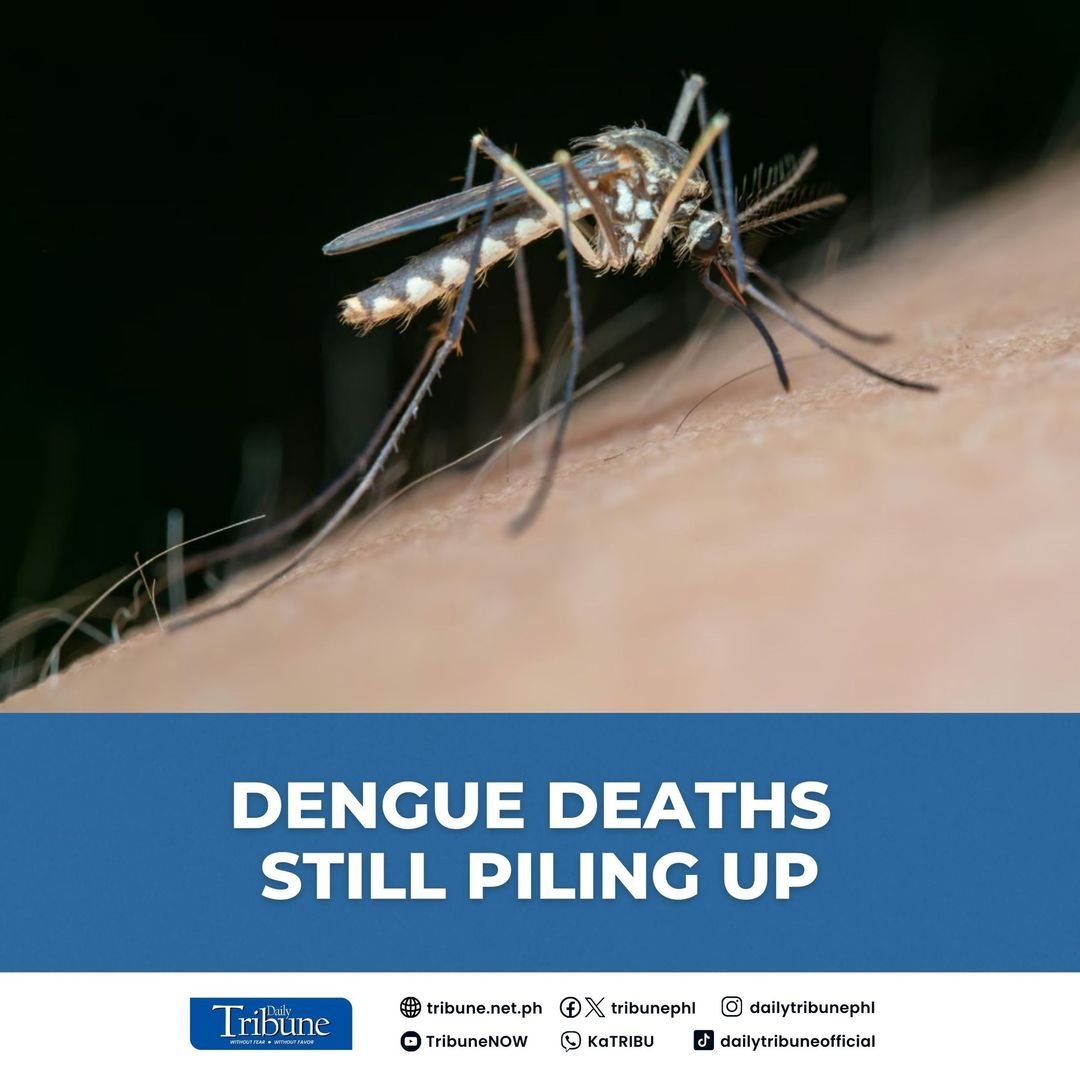 The Department of Health in Eastern Visayas reiterated its call to all hospitals and health facilities in the region to set up a fast lane for dengue