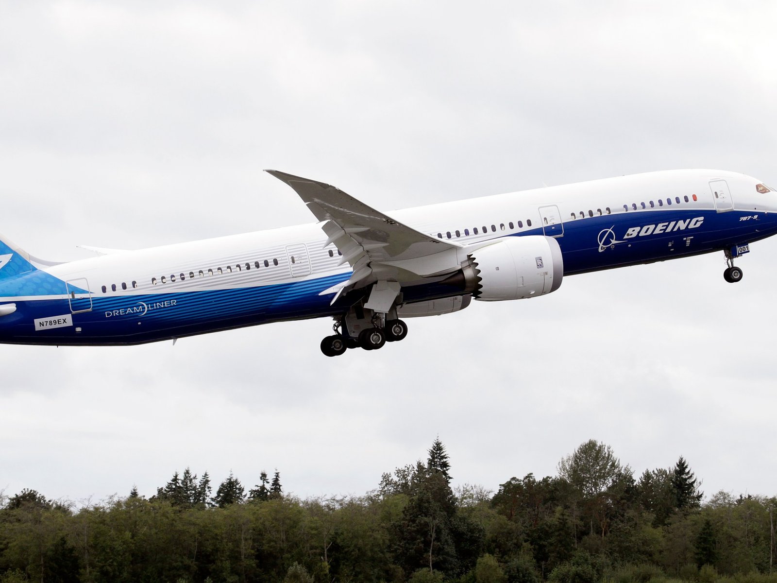 US orders inspections of Boeing 787 planes following midair plunge | Aviation