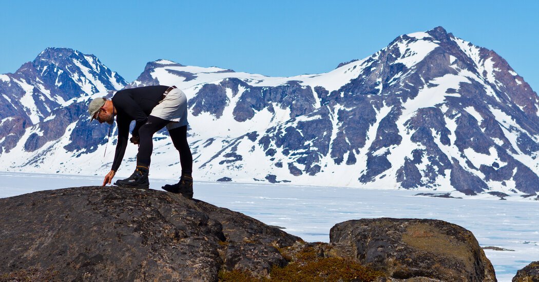 Under a Frozen Army Base, He Found Incredible Fossils