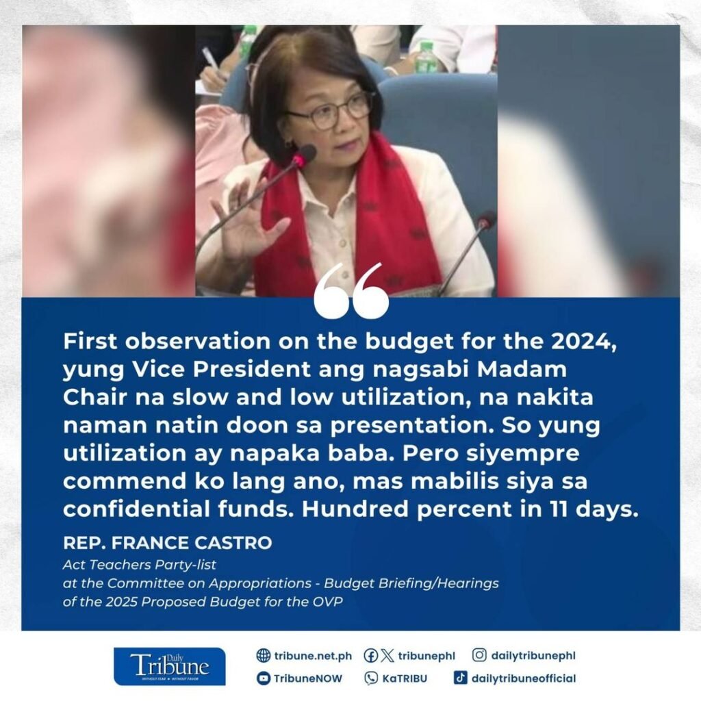 Vice President Sara Duterte and ACT Teachers Partylist Rep. Frances Castro had a heated argument about COA's report on the VP's Confidential Fund for