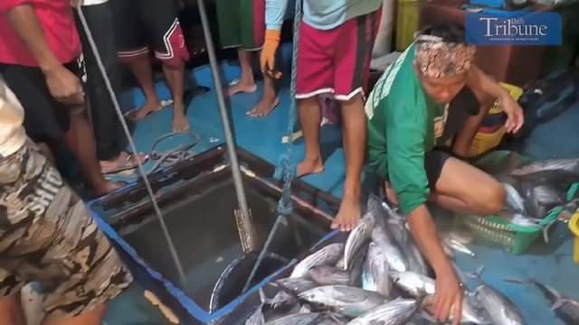 WATCH: Crew of the FV Ervy 8, led by Maestro Arturo Torzar, transfer their catch to the deck for sorting before delivering it to fish dealers at the S