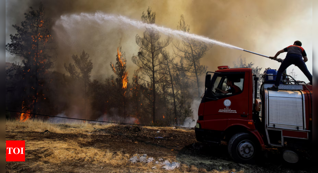 Wildfires: Firefighters battle to contain five wildfires across Turkey