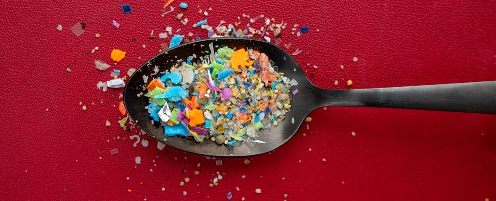 7,000 Microplastics Studies Show We Have One Really Big Problem : ScienceAlert