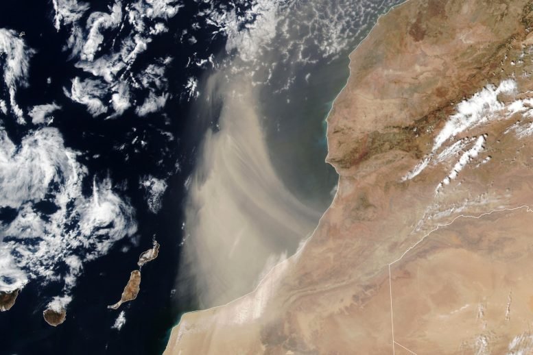 Dust Pours Off Moroccan Coast August 2024