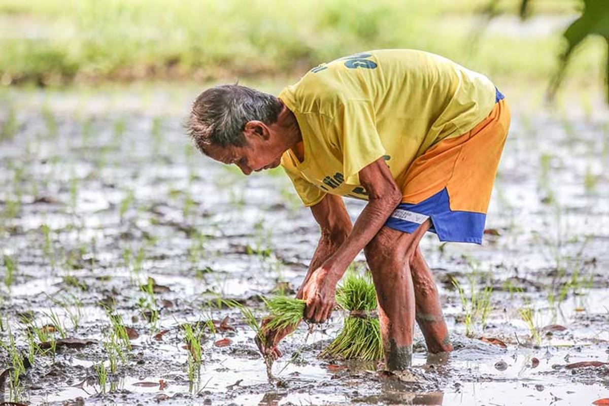 Aging farmers, low wages, and the vanishing youth in agriculture