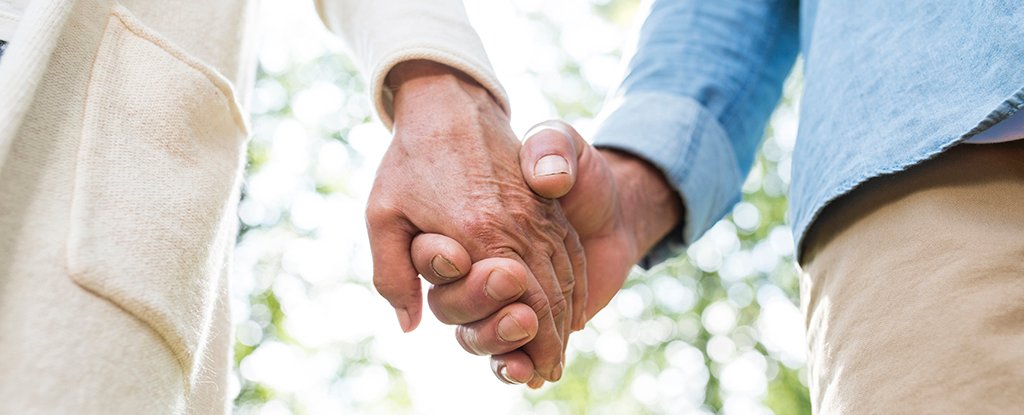 Alzheimer's And Heart Disease Share a Curious Fundamental Connection : ScienceAlert