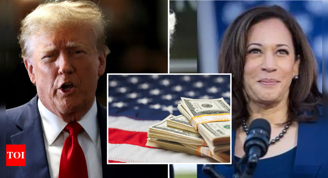 Billionaire donors driving 2024 US presidential campaigns: How Trump’s and Harris’ top backers are shaping election