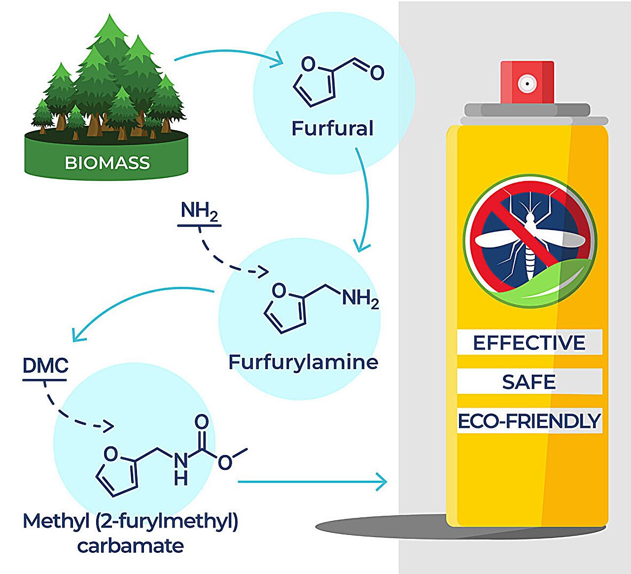 Bio-based insecticidal ingredients have the potential to drive ecologically safer pesticides