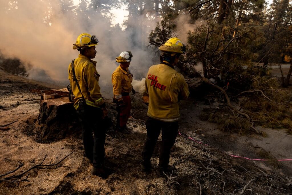 California firefighters’ union slams Trump for threatening to withhold funding: ‘He should be ashamed’