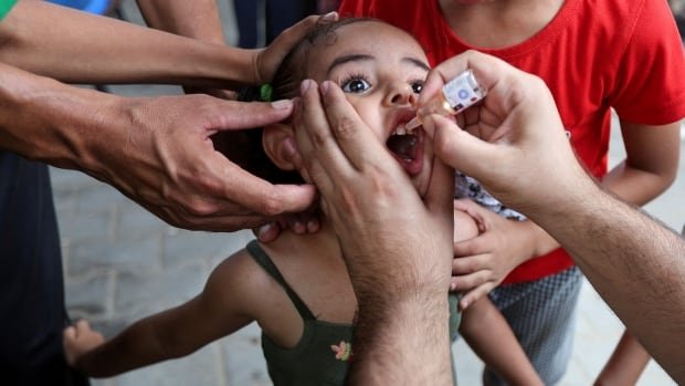 Children in Gaza receive polio vaccines as WHO launches emergency campaign