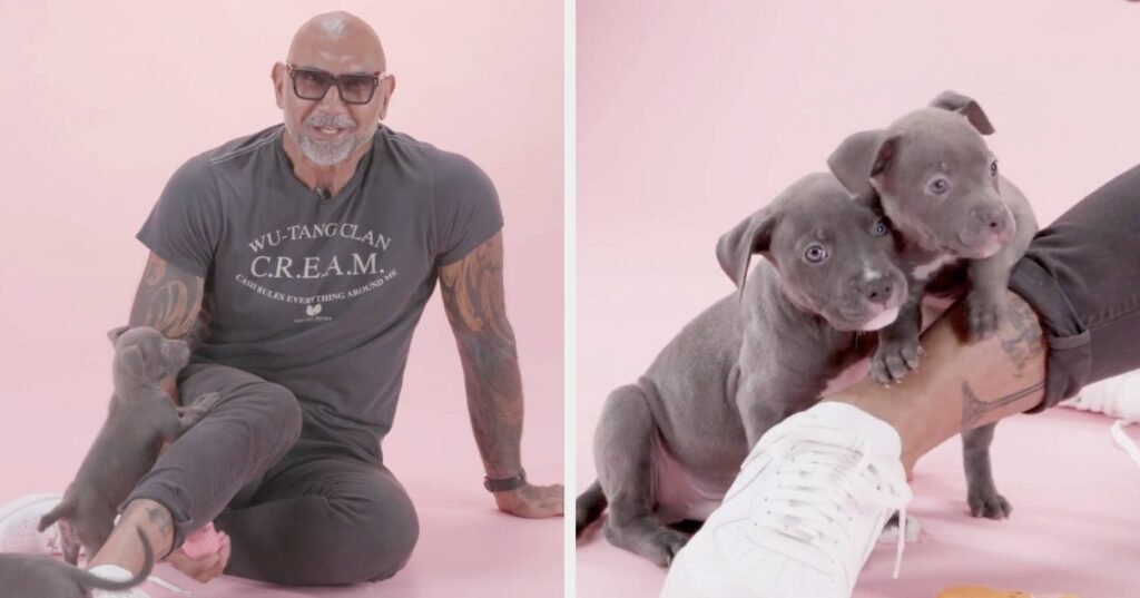 Dave Bautista Completed BuzzFeed's Puppy Interview