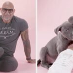 Dave Bautista Completed BuzzFeed's Puppy Interview