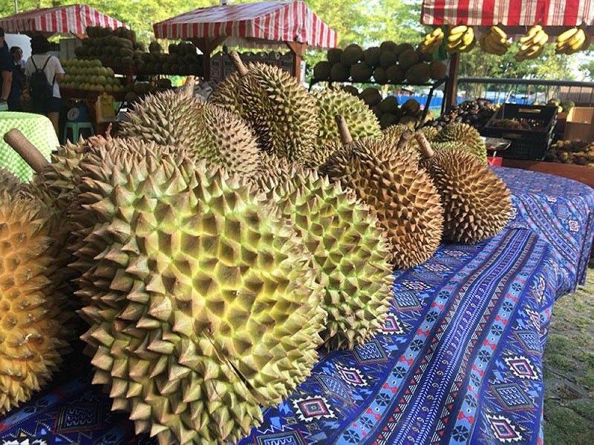 Durian prices fall to P20 kg per kilo