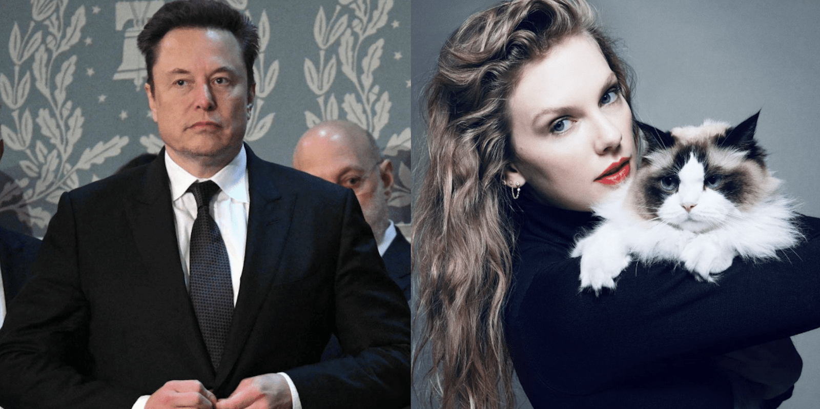 Elon Musk reaction to Taylor Swift's Harris support fuels fury