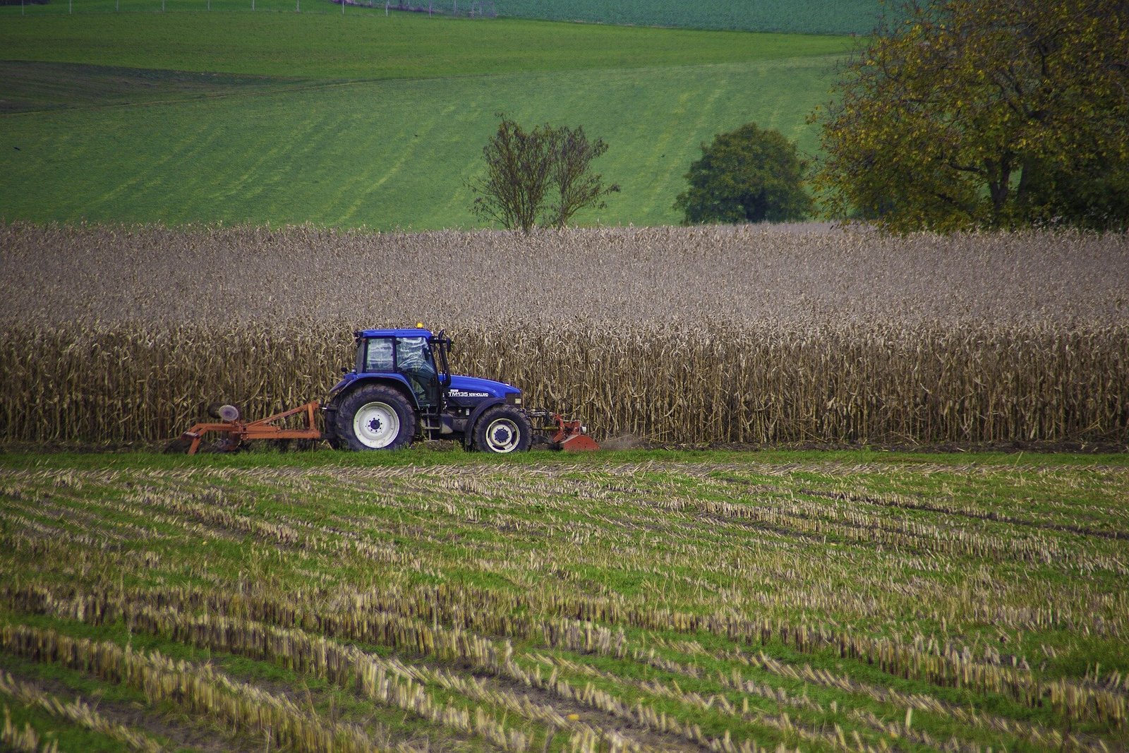 Free suicide prevention course available for rural veterinarians, farm workers