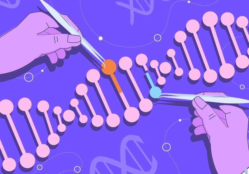 Researchers at the University of Arizona developed a pH-responsive probe that activated in the basic environment (purple) of the larval midgut and bound to gut proteins.