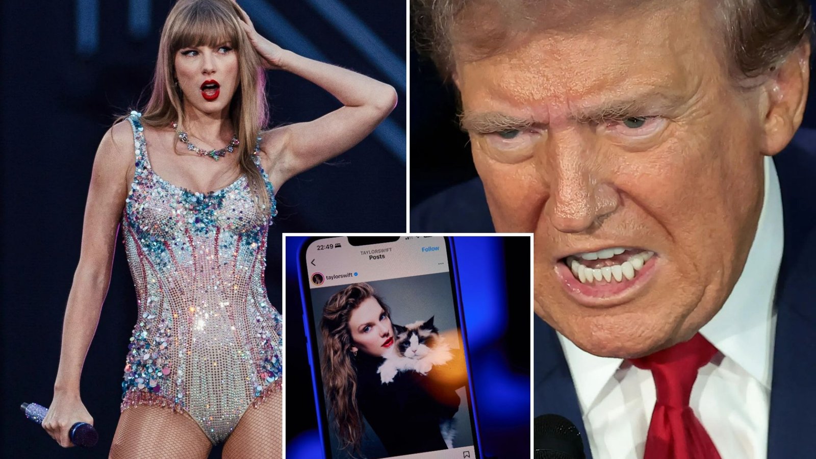 Furious Donald Trump declares 'I hate Taylor Swift' in social media post after singer endorsed rival Kamala Harris