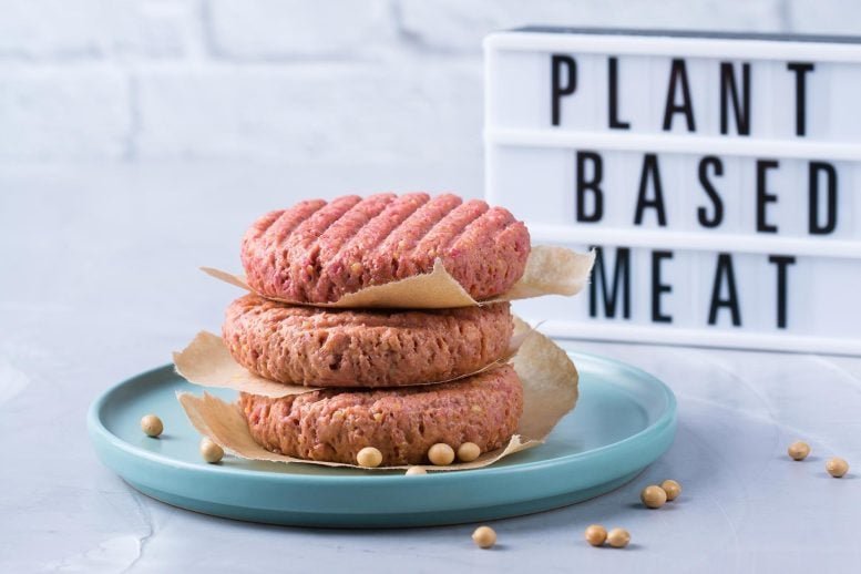 Plant Based Meat Burger Patties