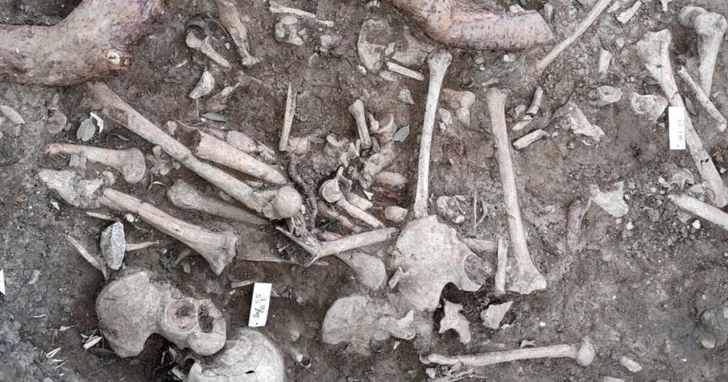 Gruesome archaeological discovery of 360-year-old mass grave in Germany | World | News