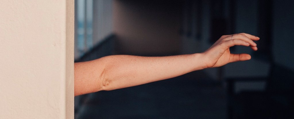 Humans Keep Growing an Extra Artery in Their Arms, And Here's Why : ScienceAlert