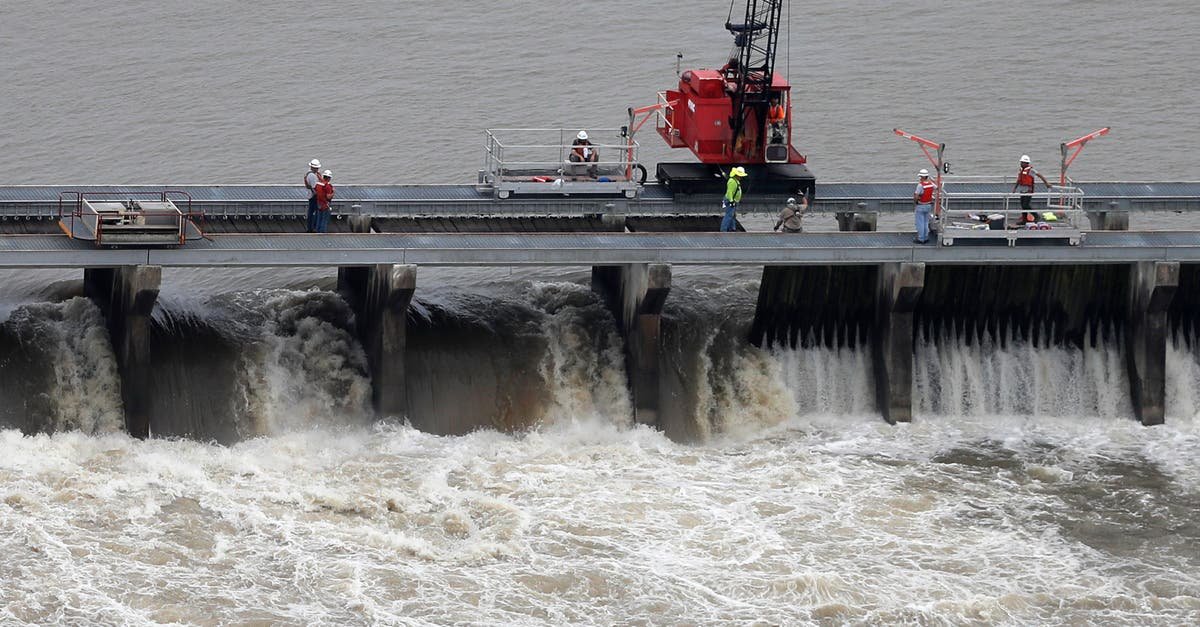 Judge dismisses lawsuit to protect dolphins along the Mississippi Gulf Coast after dozens were killed