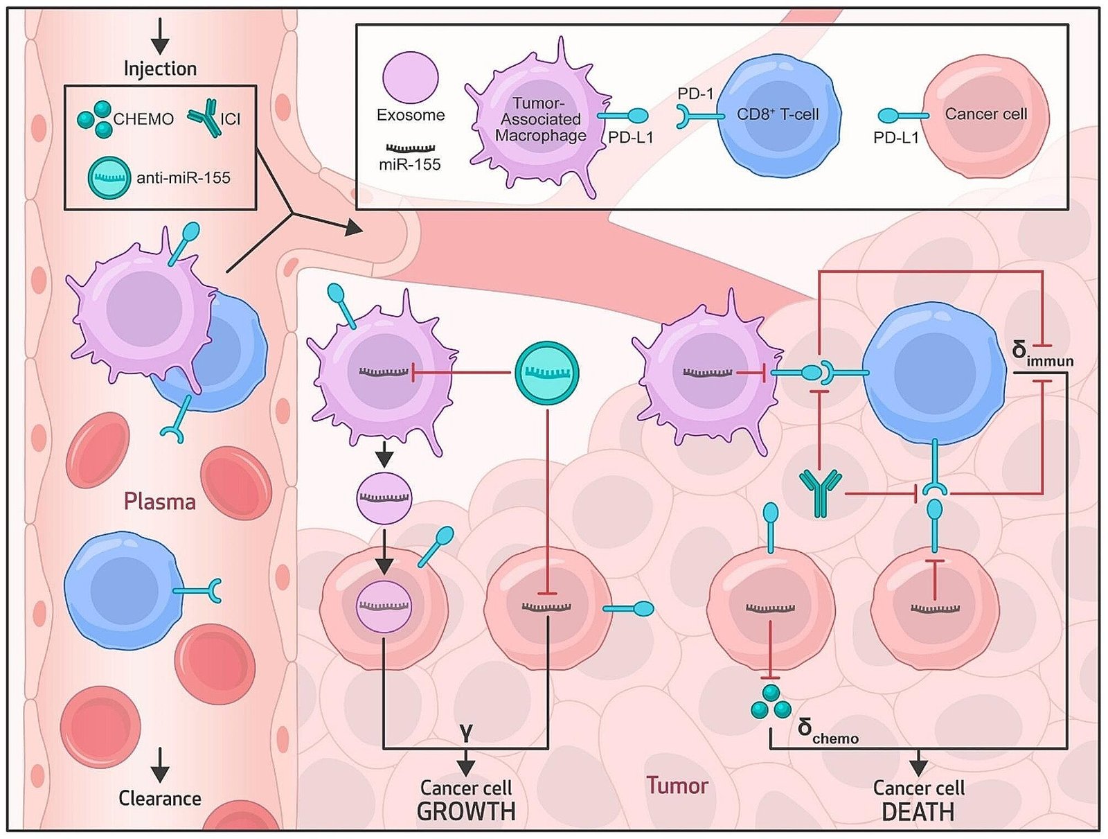 Mathematical model identifies effective drug combinations for non-small-cell lung cancer