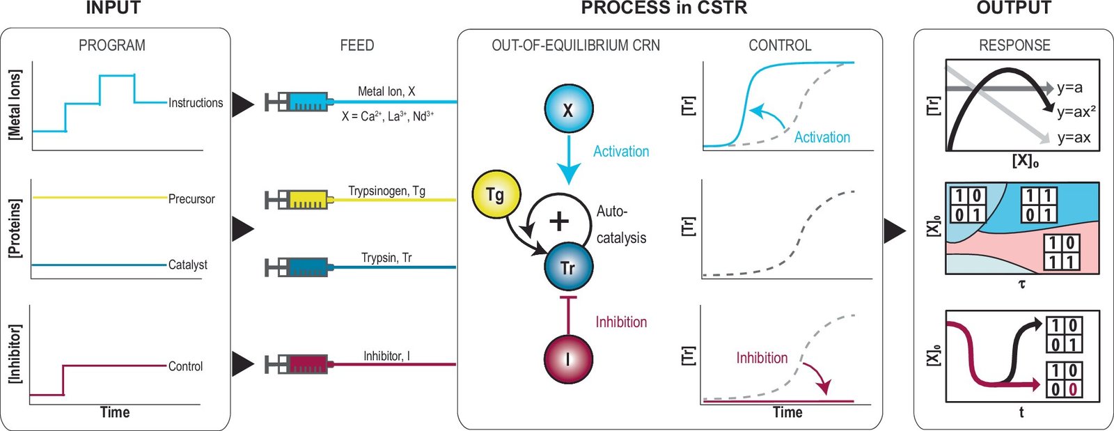 Molecular computing method uses metal ions to mimic complex mathematical functions