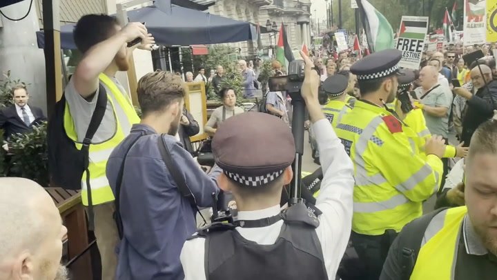 Police detain man during Palestine solidarity march in central London