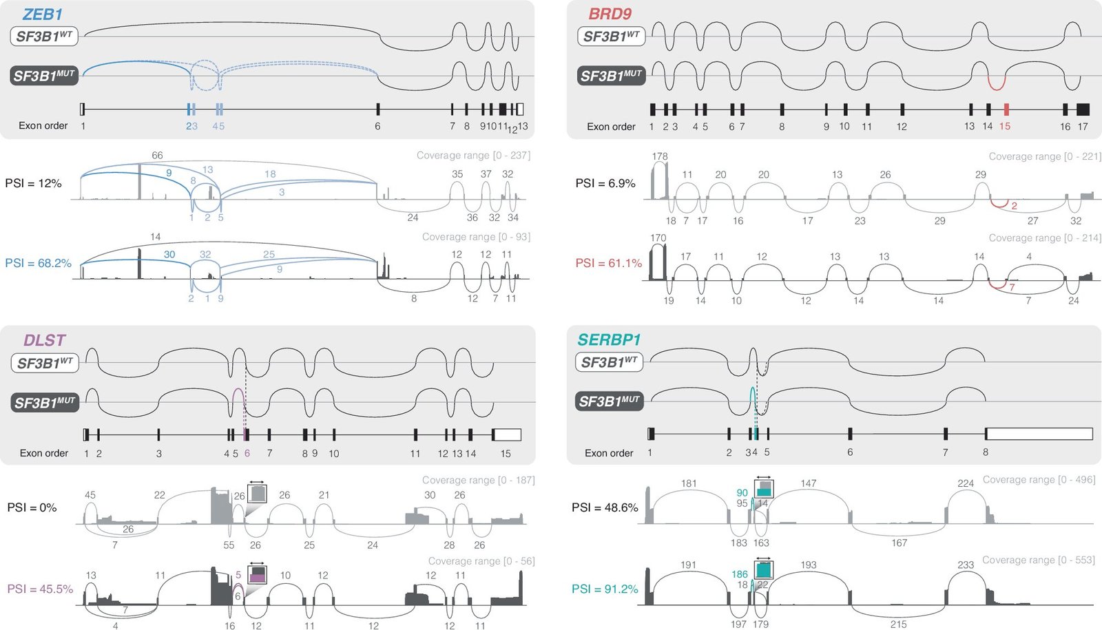 RNA-sequencing study provides novel insights into chronic lymphocytic leukemia