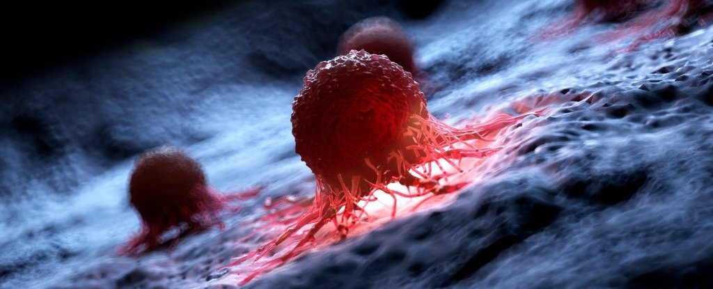 Scientists Destroy 99% of Cancer Cells in Lab With Vibrating Molecules : ScienceAlert