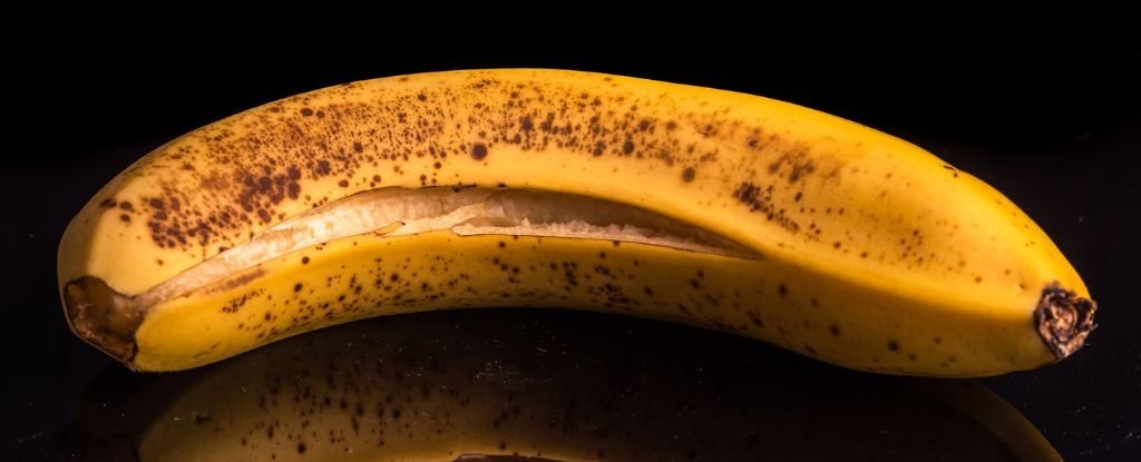 Something Awesome Happens if You Use Banana Peel as an Ingredient : ScienceAlert