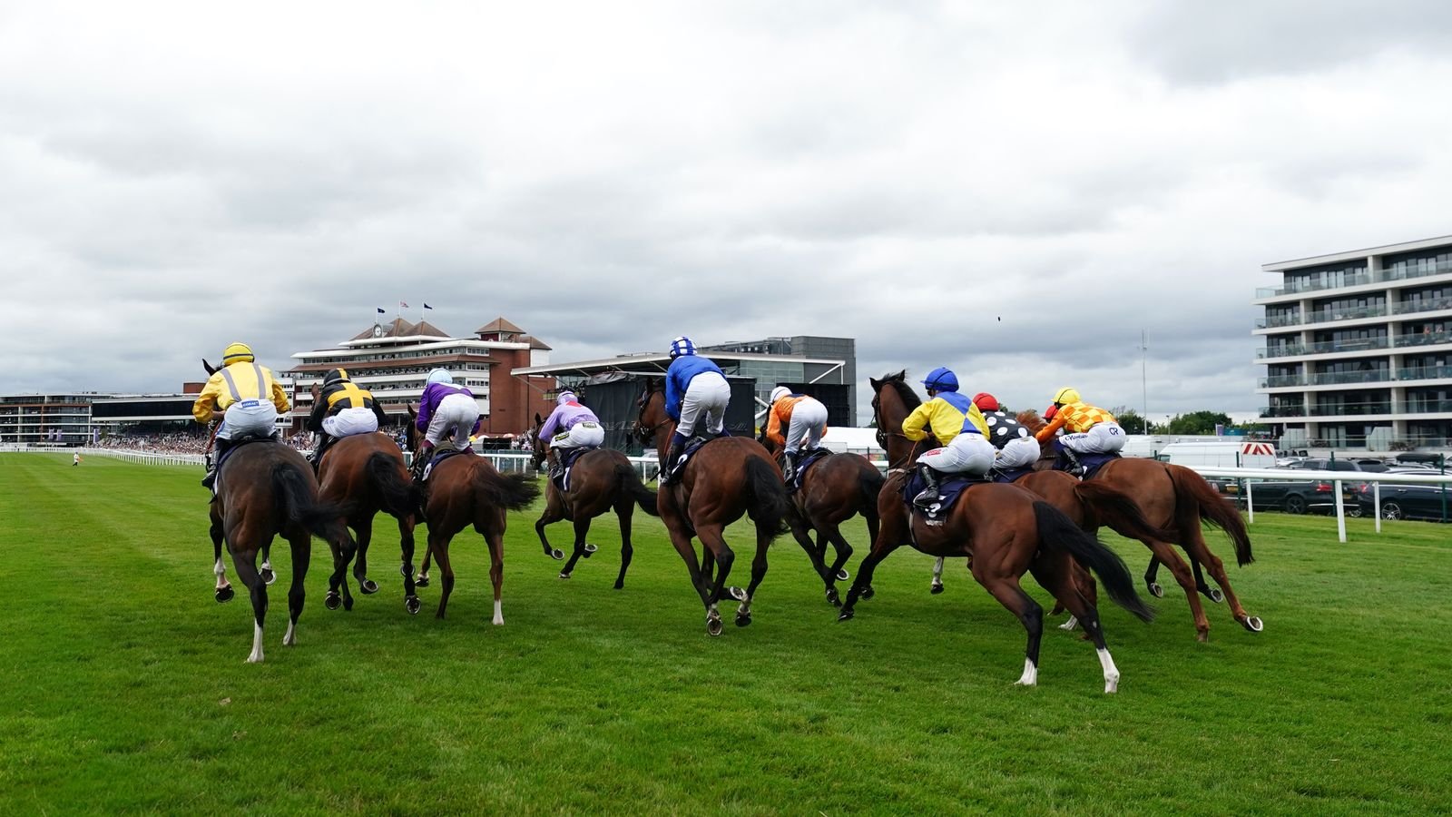 Today on Sky Sports Racing: Action aplenty from Newbury, Lingfield and Wolverhampton | Racing News