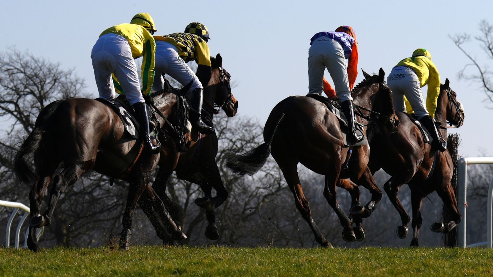 Today on Sky Sports Racing: Jumping at Plumpton features live on Sunday | Racing News