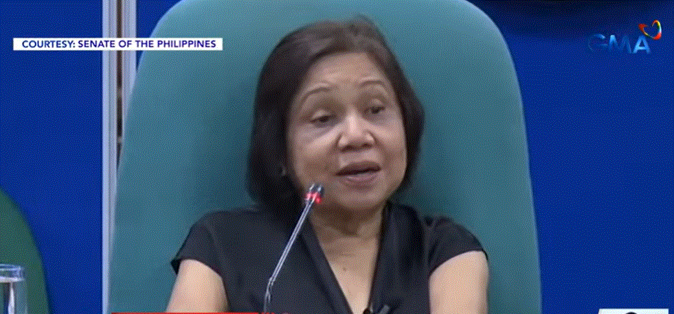 Villar grills DA on absence of ASF border inspection