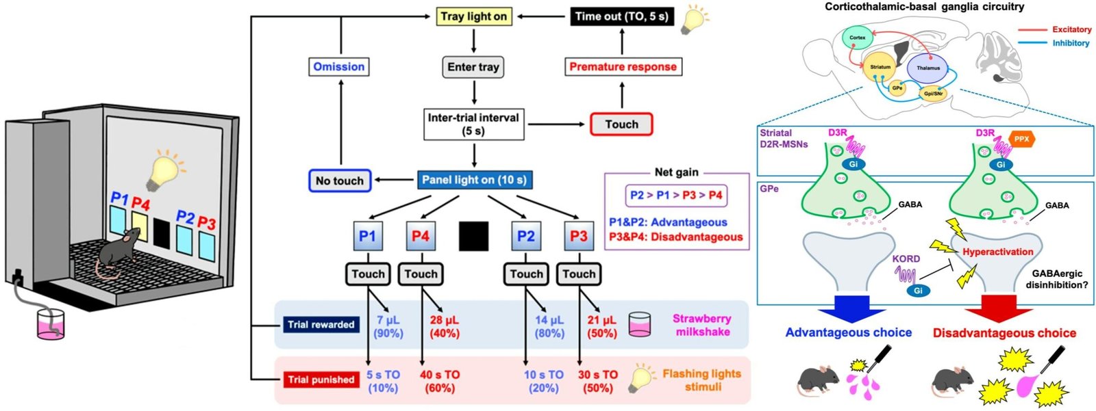 Why do some Parkinson's disease treatments affect decision making?