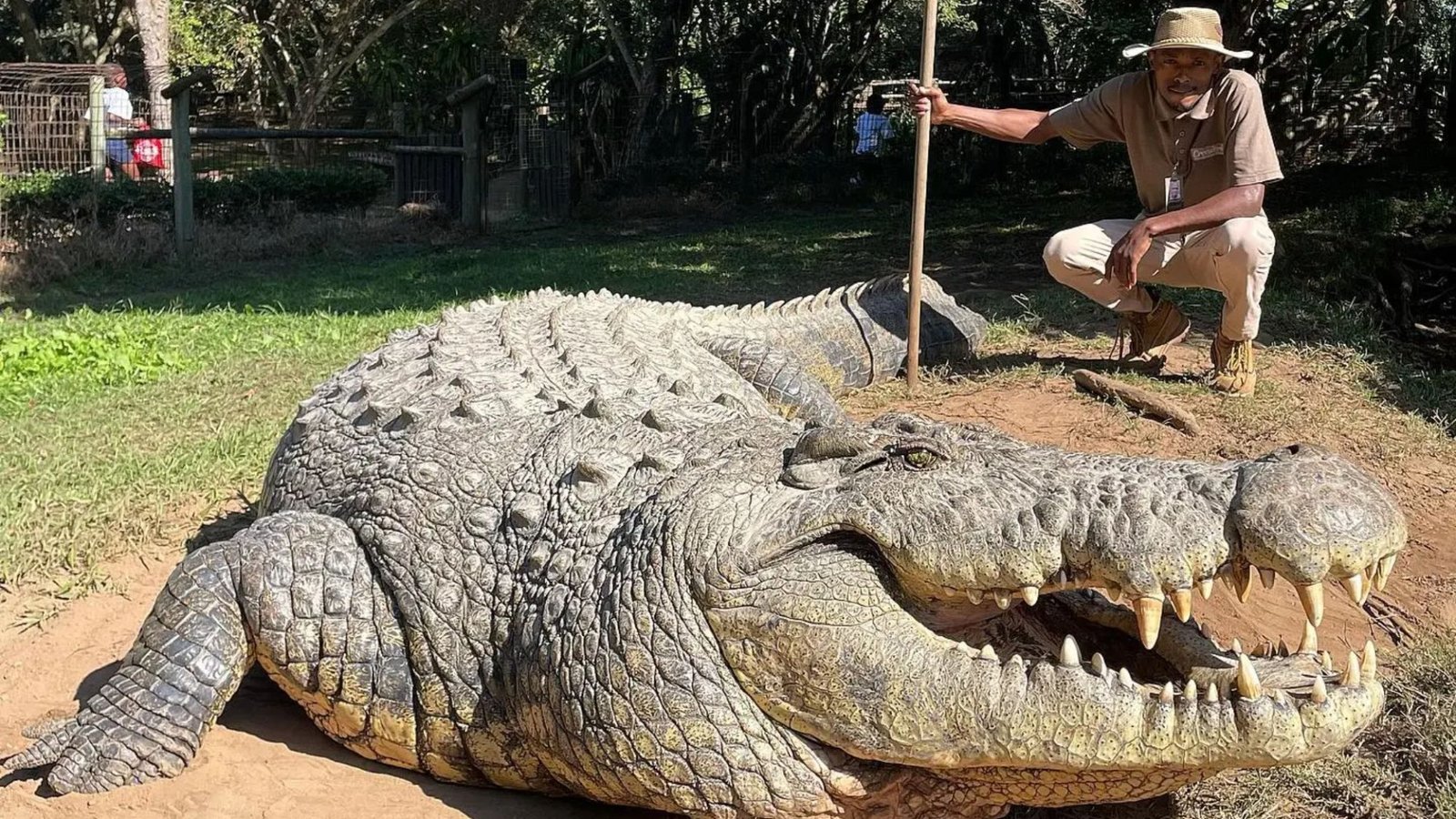 World’s oldest crocodile poses for a snap 'after fathering more than 10,000 babies'