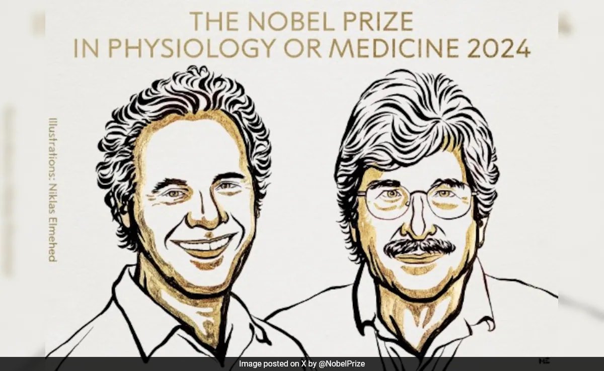 2024 Nobel Prize In Medicine Goes To US Scientists For microRNA Discovery