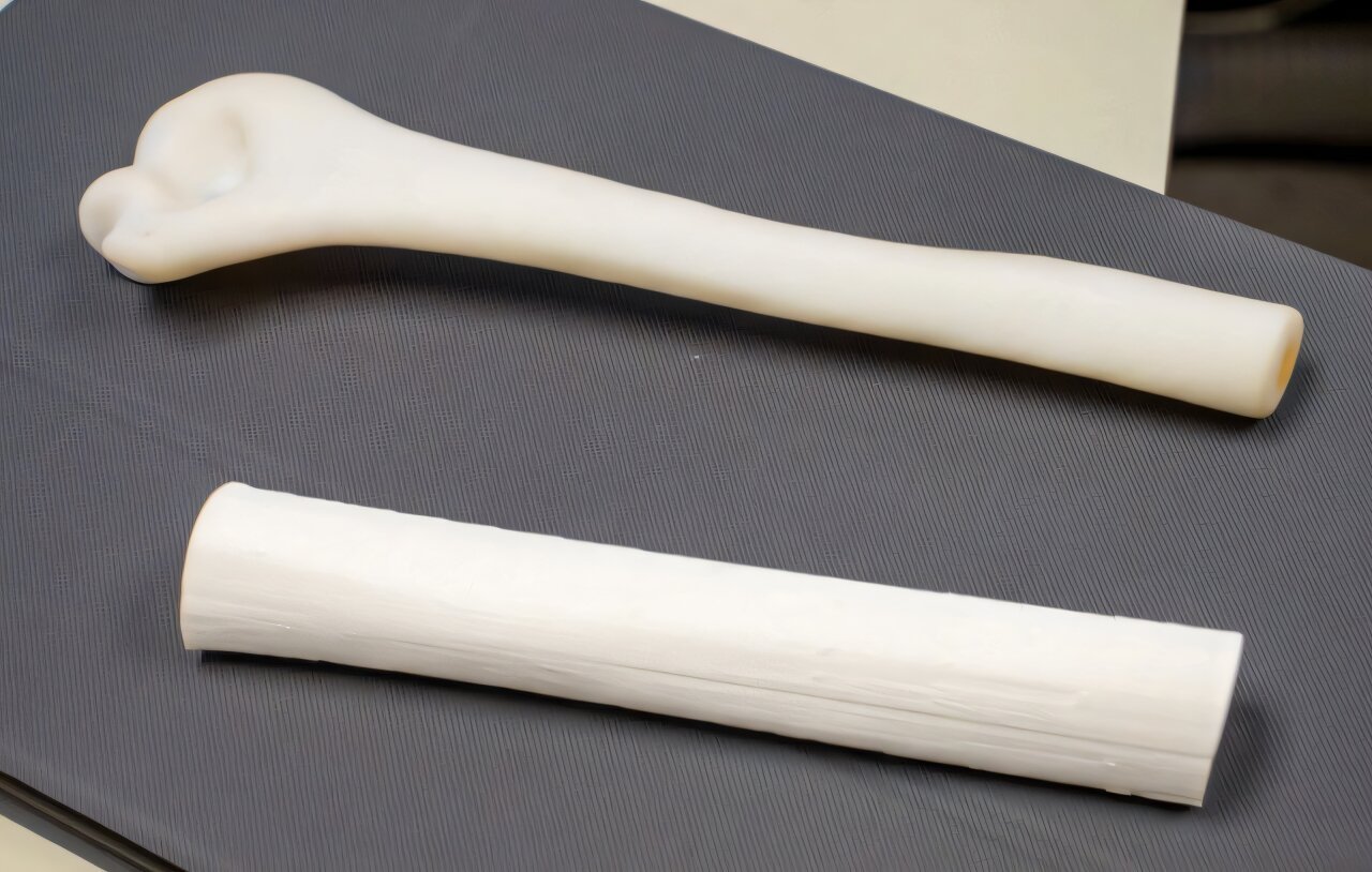 3D-printed femurs may enhance biomechanical studies