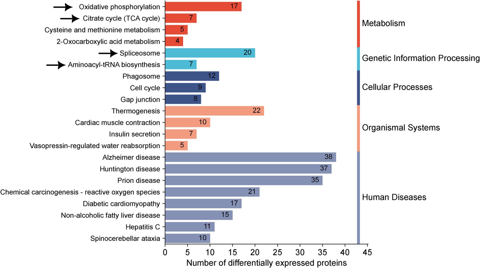 Analysis of proteins identifies new drug targets for treating inherited retinal degenerations